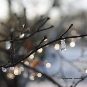 4x6 Original Photography Frozen Ice Droplets Print